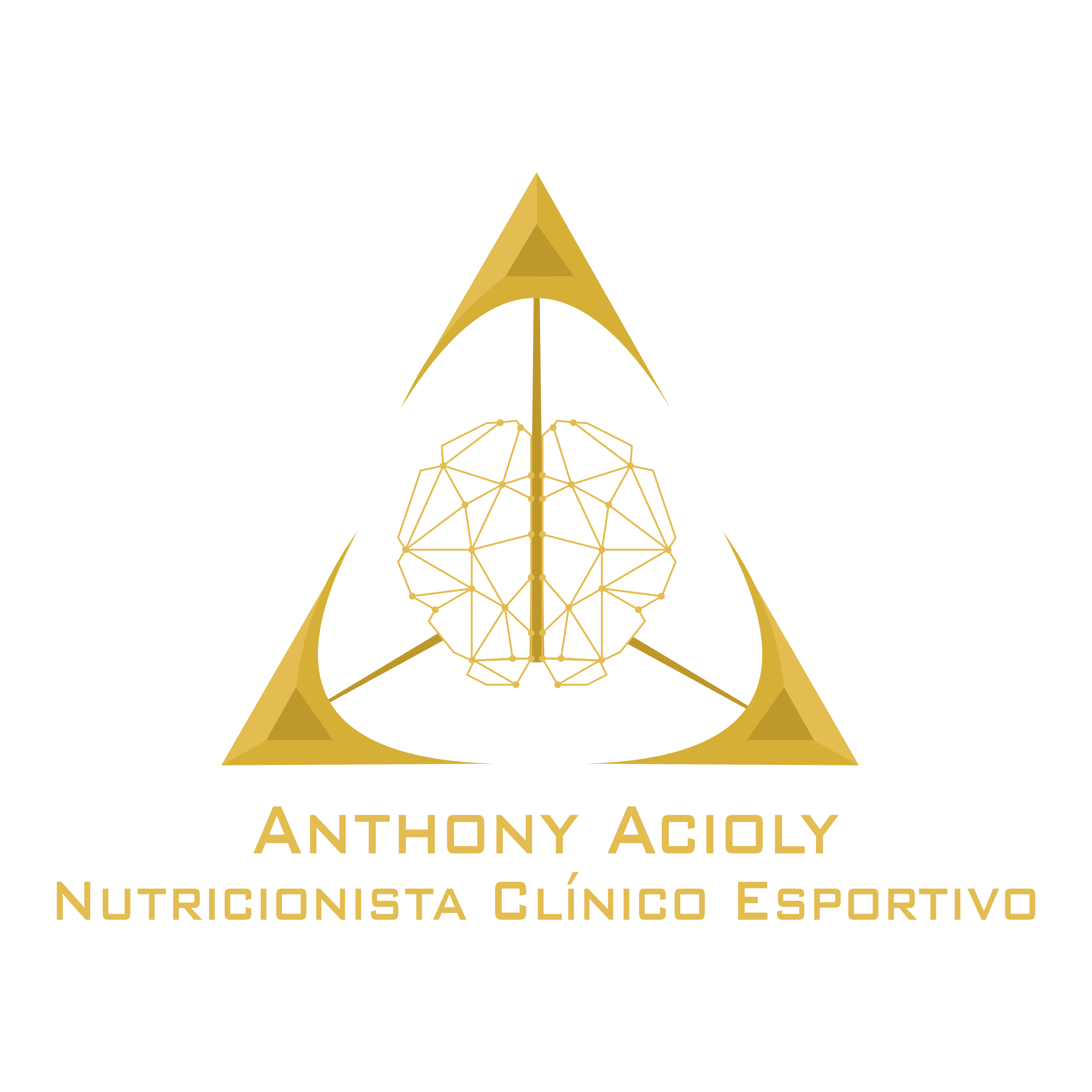 Logo Anthony Acioly